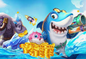 开云足球客户端