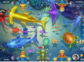 开云足球电脑免费版