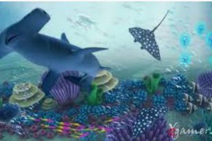 开云足球2024最新版